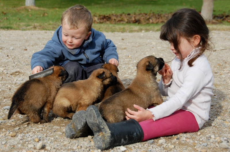 1127080-children-and-puppies
